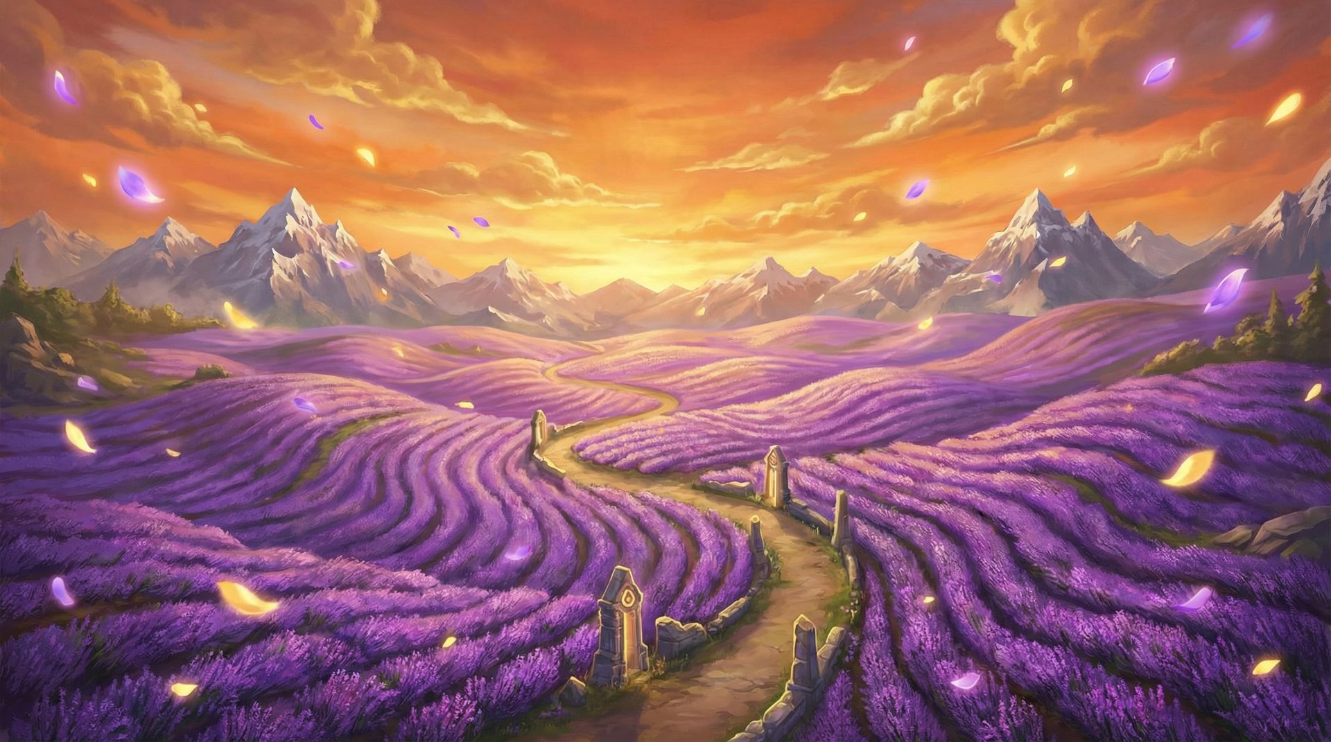 小蓝视频薰衣草花海航拍植物视频